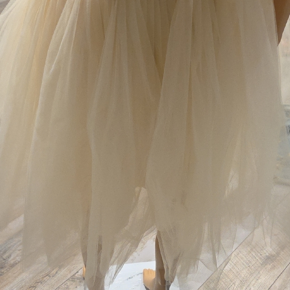 Elegant Cream Tulle Skirt - Picture 6 of 8